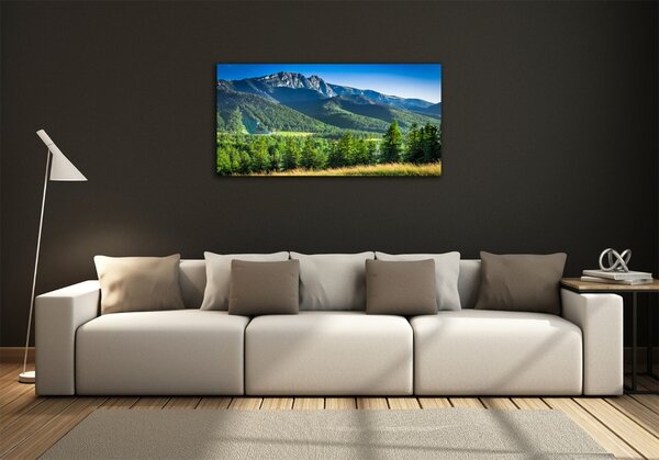 Foto-obraz fotografie na skle Skokanský můstek Tatry osh-91165777