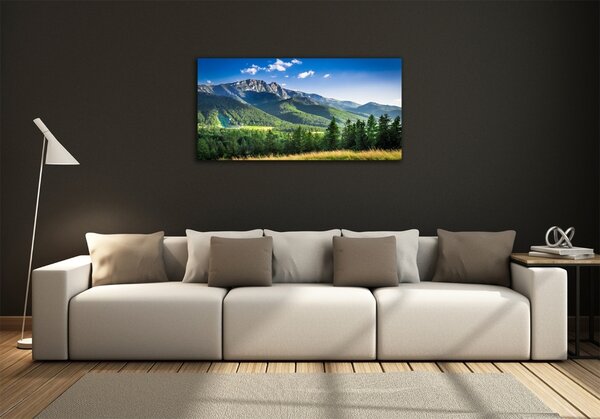 Foto obraz fotografie na skle Skokanský můstek Tatry osh-91165762