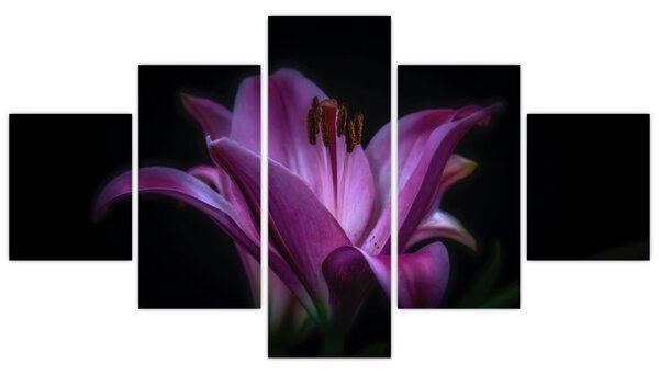 Obraz lilie (125x70 cm)