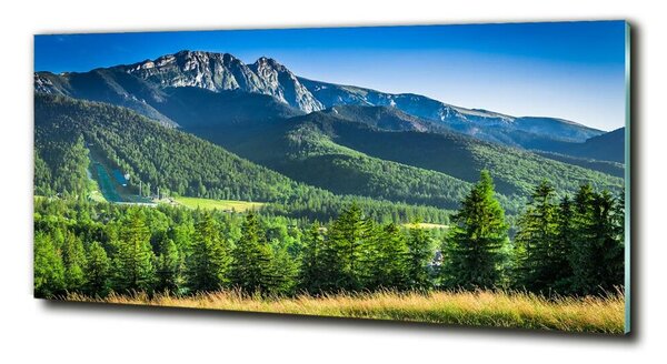 Foto-obraz fotografie na skle Skokanský můstek Tatry osh-91165777