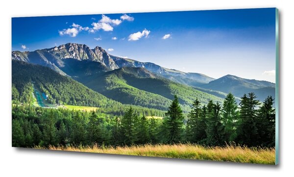 Foto obraz fotografie na skle Skokanský můstek Tatry osh-91165762