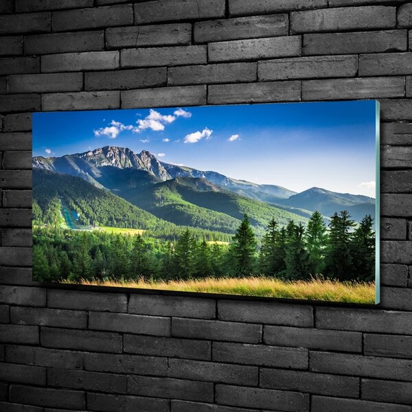 Foto obraz fotografie na skle Skokanský můstek Tatry osh-91165762