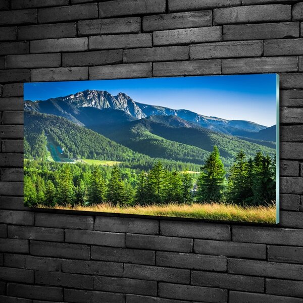Foto-obraz fotografie na skle Skokanský můstek Tatry osh-91165777