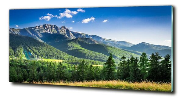Foto obraz fotografie na skle Skokanský můstek Tatry osh-91165762