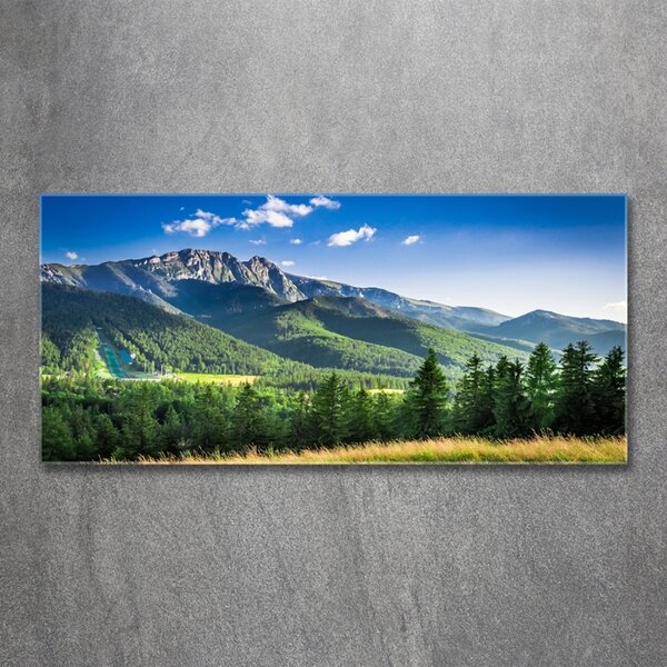 Foto obraz fotografie na skle Skokanský můstek Tatry osh-91165762