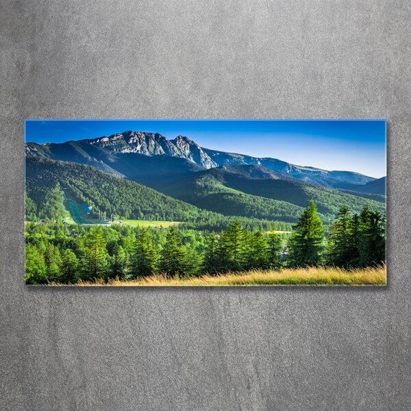 Foto-obraz fotografie na skle Skokanský můstek Tatry osh-91165777