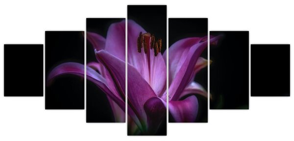 Obraz lilie (210x100 cm)