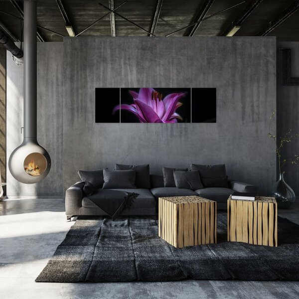 Obraz lilie (170x50 cm)