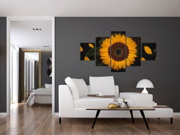 Obraz - Slunečnice a lístky květů (125x70 cm)