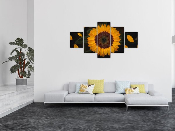 Obraz - Slunečnice a lístky květů (125x70 cm)