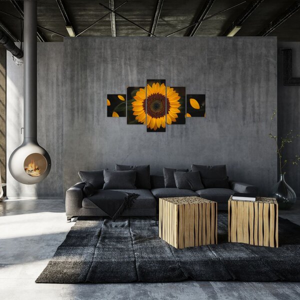 Obraz - Slunečnice a lístky květů (125x70 cm)