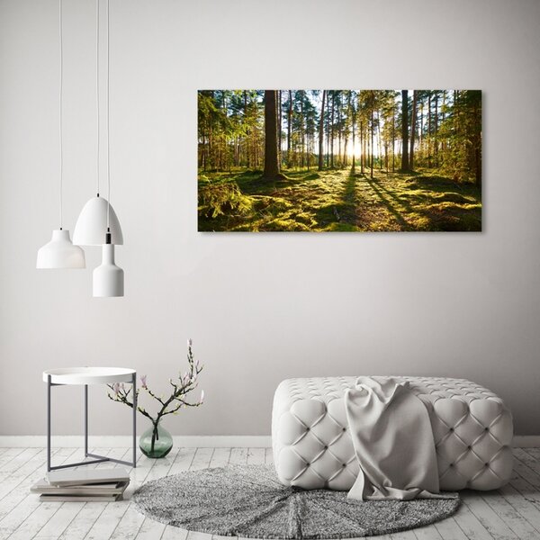 Fotoobraz na skle Sosnový les osh-92027264