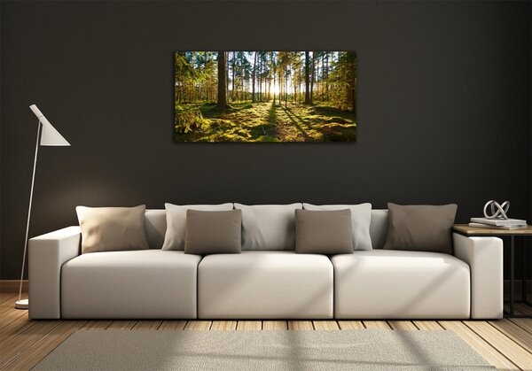 Fotoobraz na skle Sosnový les osh-92027264
