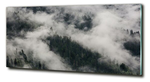Foto obraz sklo tvrzené Mlha nad lesem osh-92103415