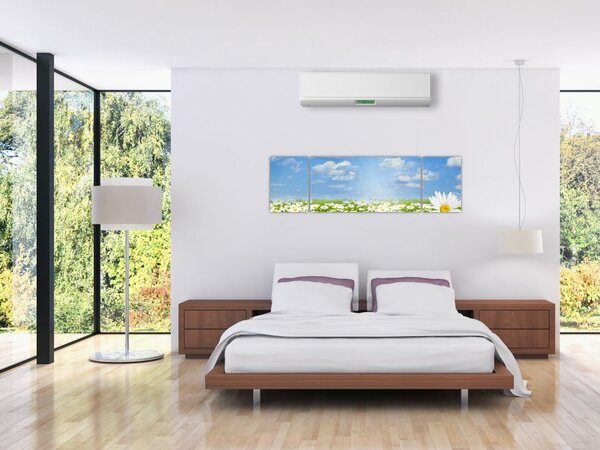 Obraz rozkvetlé louky s kopretinami (170x50 cm)