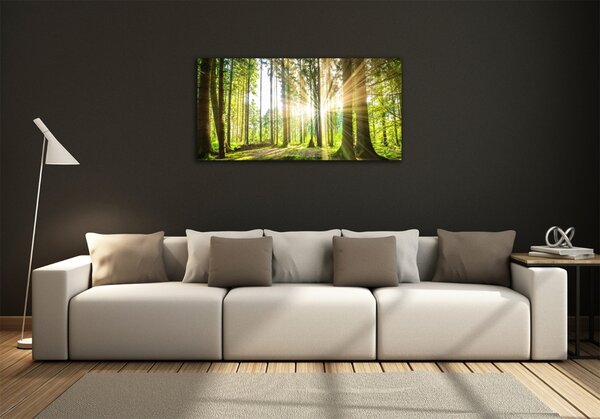 Foto obraz sklo tvrzené Les slunce osh-92474685