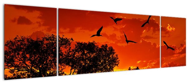 Obraz ptáků při západu slunce (170x50 cm)