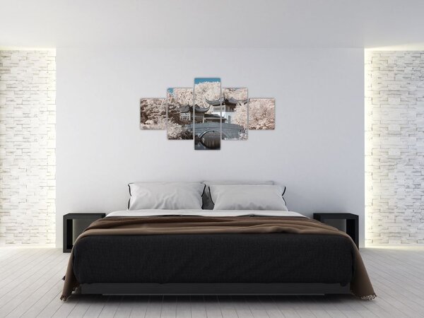 Obraz - Rozkvetlé stromy v Asii (125x70 cm)