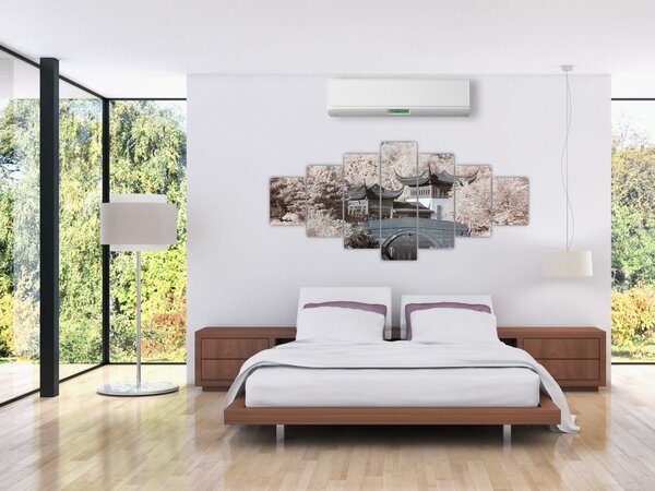 Obraz - Rozkvetlé stromy v Asii (210x100 cm)