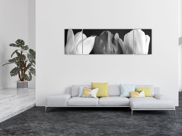 Obraz - Černobílé květy tulipánů (170x50 cm)