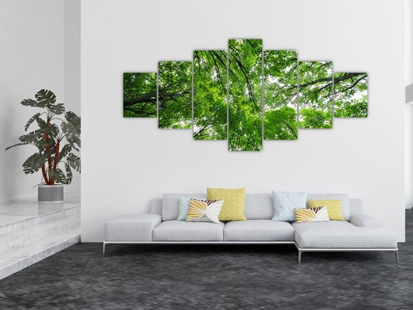 Obraz - Pohled do korun stromů (210x100 cm)