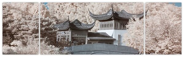 Obraz - Rozkvetlé stromy v Asii (170x50 cm)
