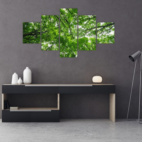 Obraz - Pohled do korun stromů (125x70 cm)