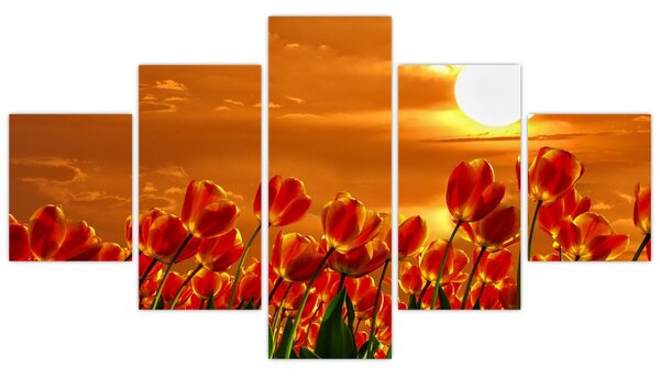Obraz rozkvetlého lánu s tulipány (125x70 cm)