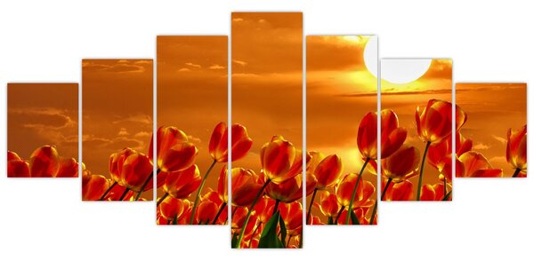 Obraz rozkvetlého lánu s tulipány (210x100 cm)