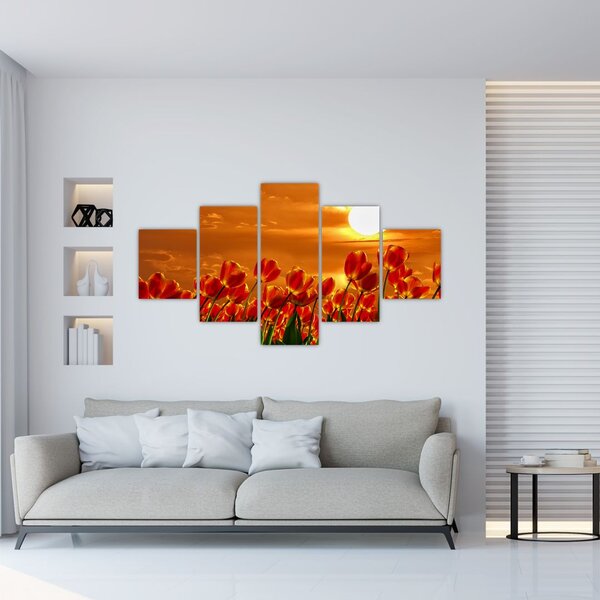 Obraz rozkvetlého lánu s tulipány (125x70 cm)