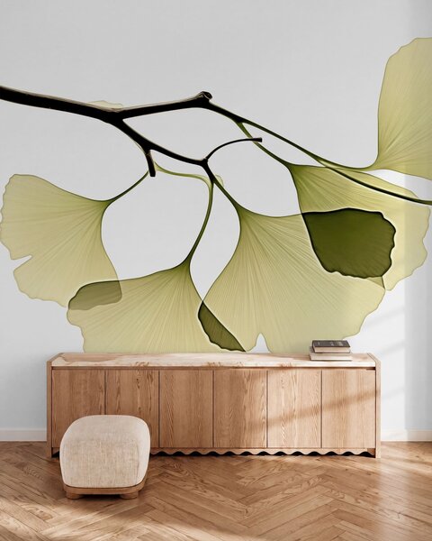 Fototapety Listy ginkga ve tvaru vějíře, Fototapety příroda, w09968 : uwalls.cz