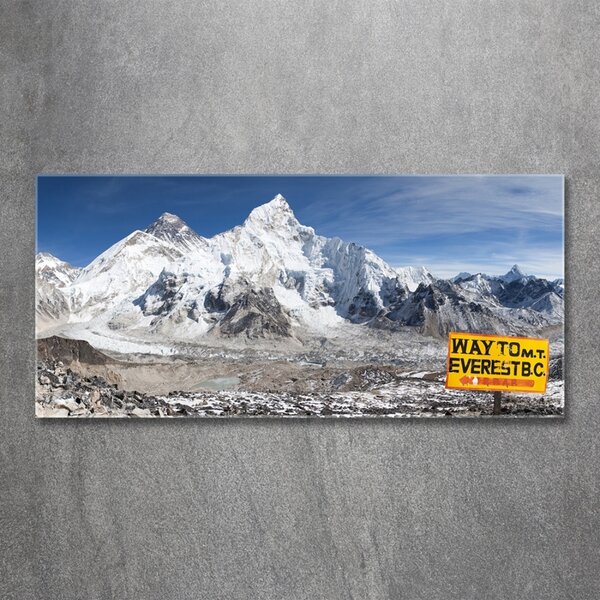 Fotoobraz na skle Hora Everest osh-95403149