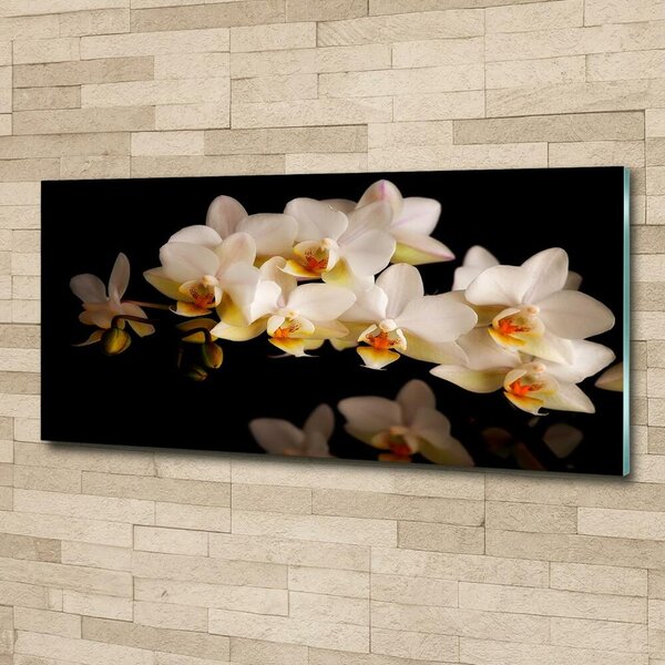 Fotoobraz na skle Orchidej osh-95410450