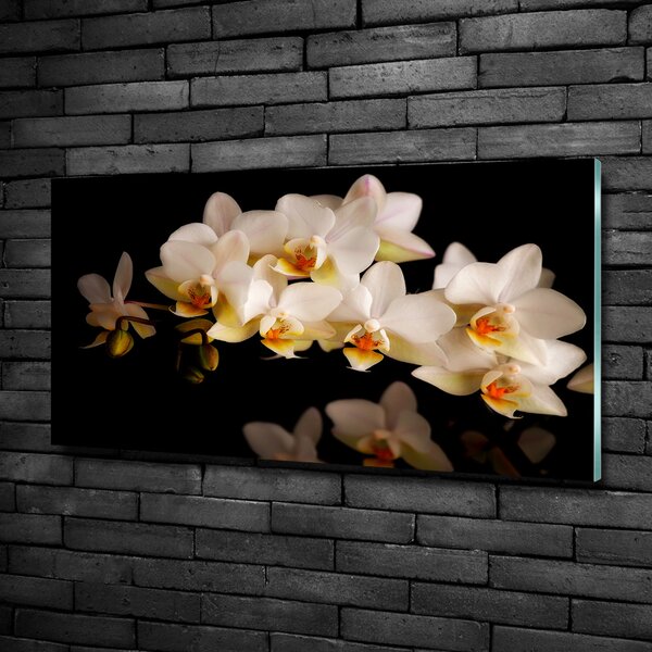 Fotoobraz na skle Orchidej osh-95410450