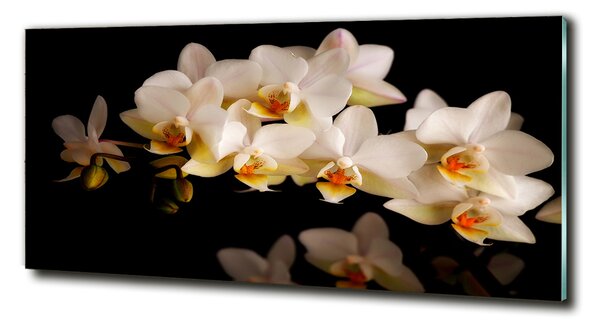 Fotoobraz na skle Orchidej osh-95410450