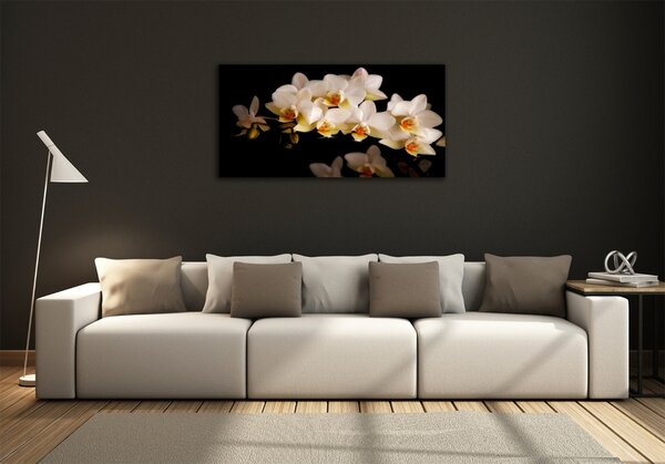 Fotoobraz na skle Orchidej osh-95410450