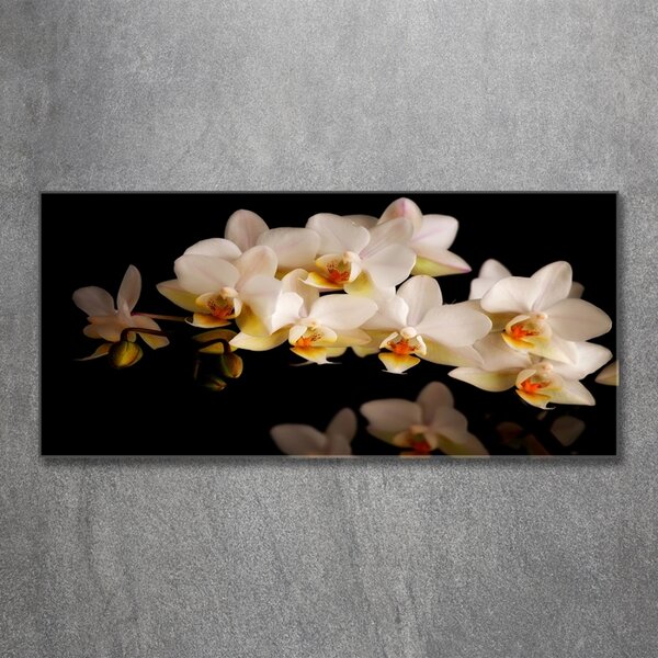 Fotoobraz na skle Orchidej osh-95410450