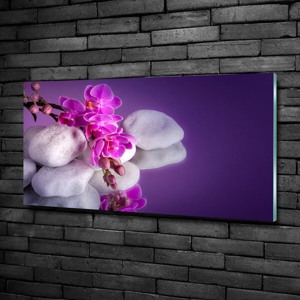 Foto obraz sklo tvrzené Orchidej osh-95985496