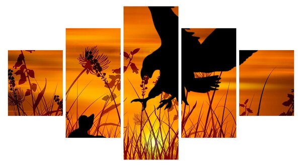 Obraz siluety dravce (125x70 cm)