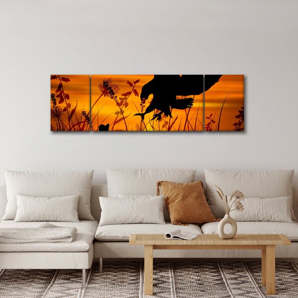 Obraz siluety dravce (170x50 cm)