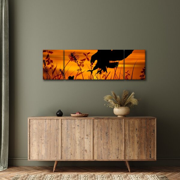 Obraz siluety dravce (170x50 cm)