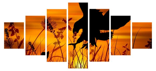 Obraz siluety dravce (210x100 cm)