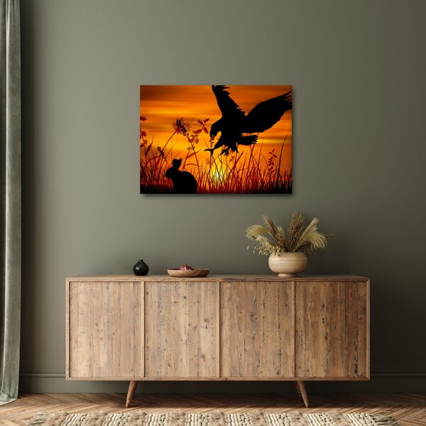 Obraz siluety dravce (70x50 cm)