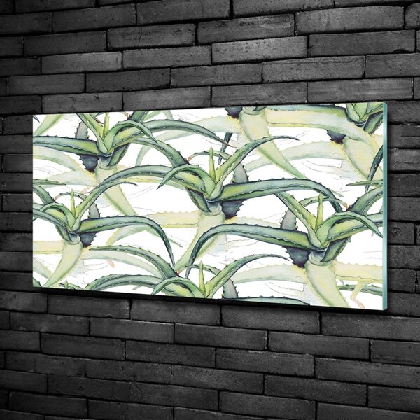 Foto obraz sklo tvrzené Aloes osh-96215866