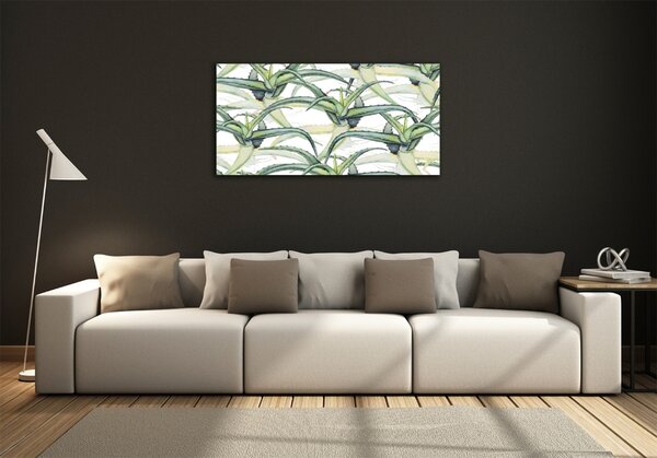 Foto obraz sklo tvrzené Aloes osh-96215866