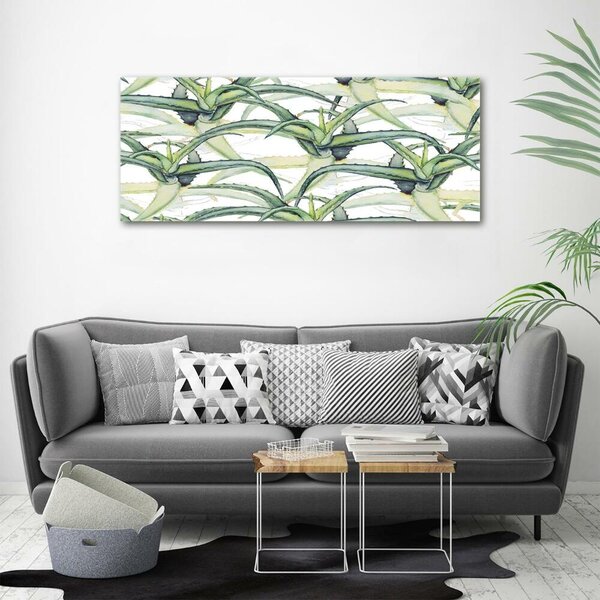 Foto obraz sklo tvrzené Aloes osh-96215866