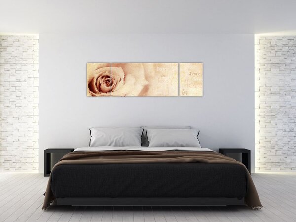 Obraz - Květ růže pro zamilované (170x50 cm)