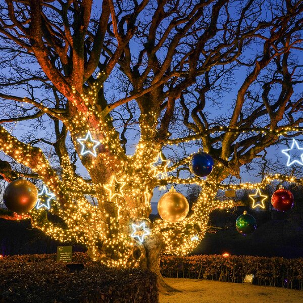 Venkovní LED vánoční řetěz PROFI, černý kabel, teplá bílá, 10m, 100 LED