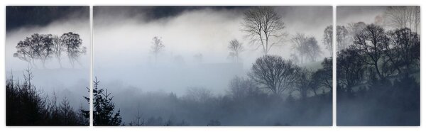 Obraz mlhy nad lesem (170x50 cm)