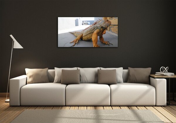 Foto-obraz na skle Iguana osh-97700993